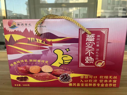 “一点红”红薯